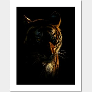 Savage Beauty: Majestic Tiger Roams Free on Stunning Graphic Tee Posters and Art